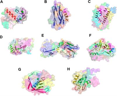Universal Architectural Concepts Underlying Protein Folding Patterns